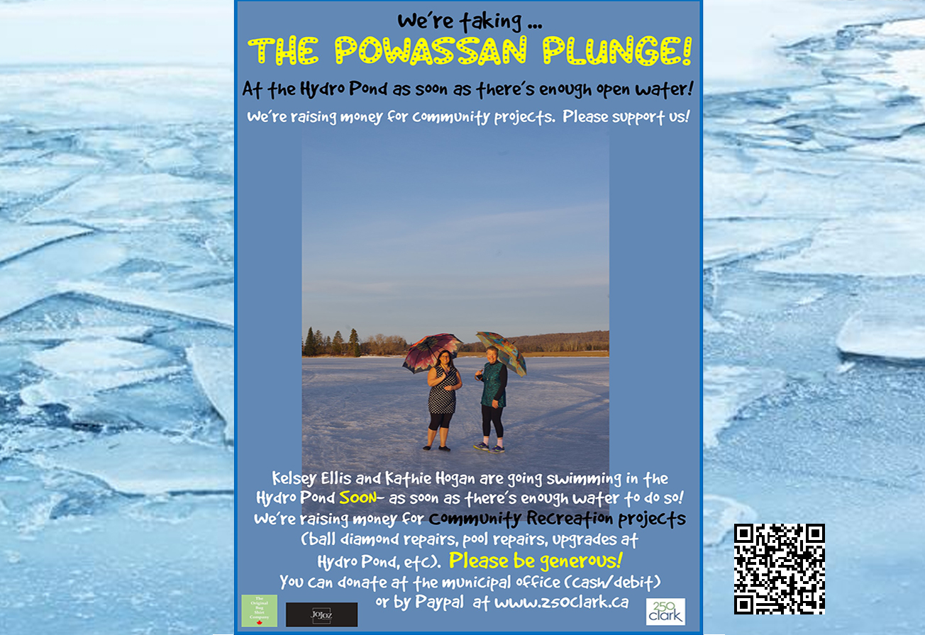 Powassan Plunge poster